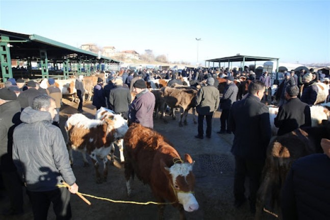 Sahte Altınla Kurban Dolandırıcılığı