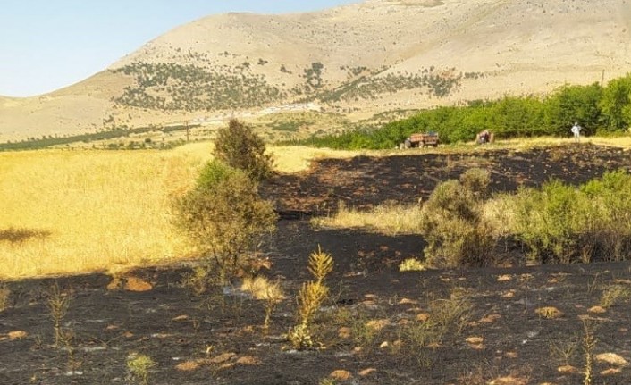 Doğanşehir'deki Anız Yangını Söndürüldü