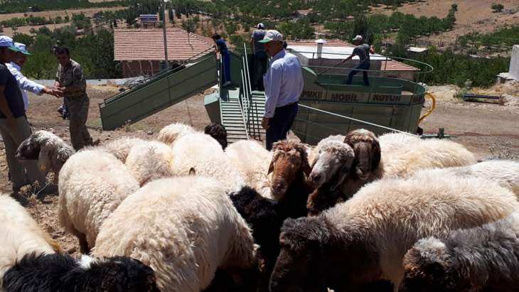 Malatya Koyun Keçi Yetiştiricileri Birliği'nden Bir Hizmete Daha