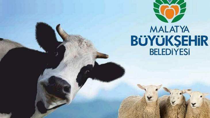 Büyükşehir'den Kurban Kesim Kursu